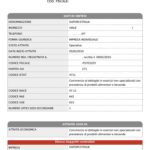 Report azienda sintetico