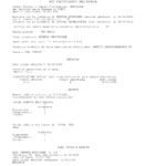 Certificato Artigiano